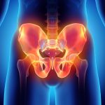 Bodysite pelvis 150x150 1